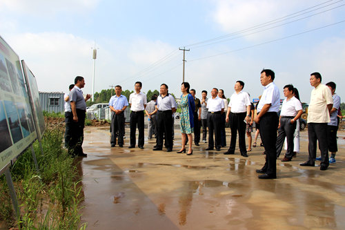 市政协视察文物保护工作